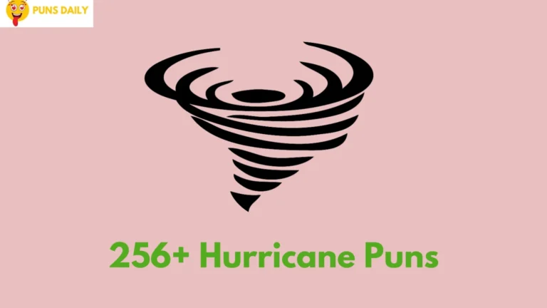 Hurricane Puns