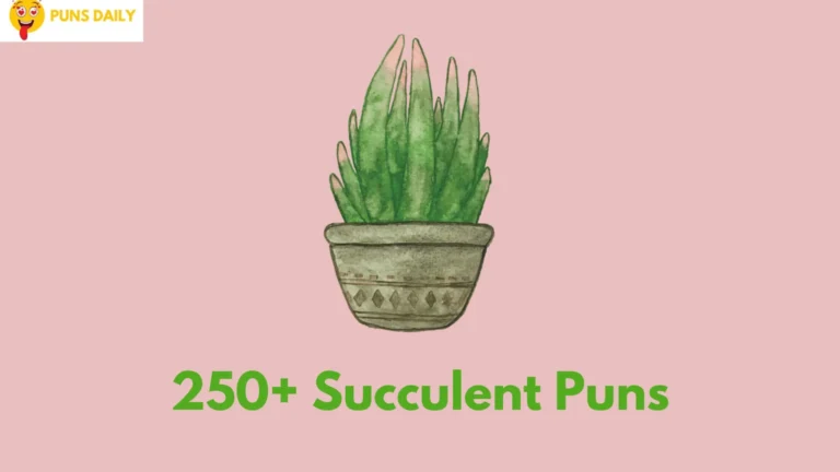 Succulent Puns